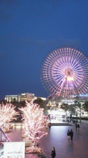 🎡