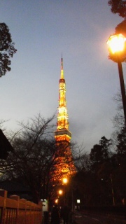 🗼✨