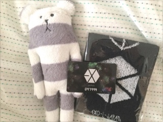 🐻