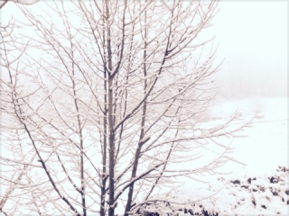 ❄️
