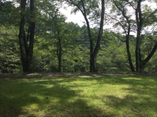 🌱