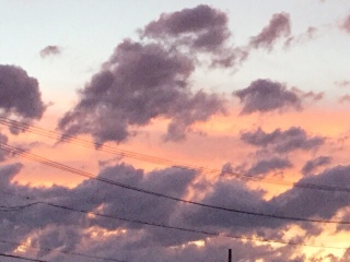 🌆