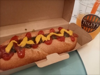 🌭