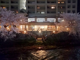 🌸